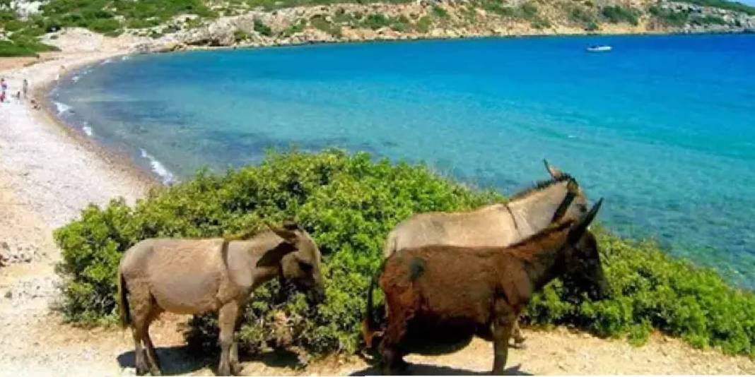 Adını duyunca şaşıracaksınız, gidince dönmek istemeyeceksiniz! Ne Maldivler ne Santorini: Marmara’nın gizli adası! 2
